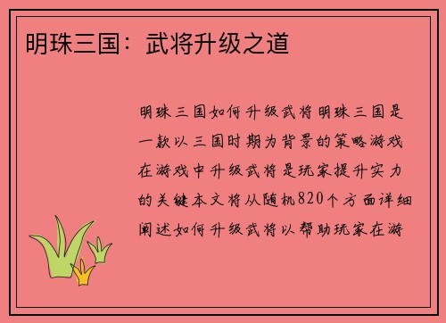 明珠三国：武将升级之道